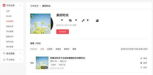 头条音频推荐每天发几条,精选内容，轻松获取精彩资讯