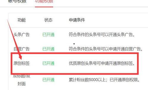 头条号提交原创要等多久,提交后多久可见成果？