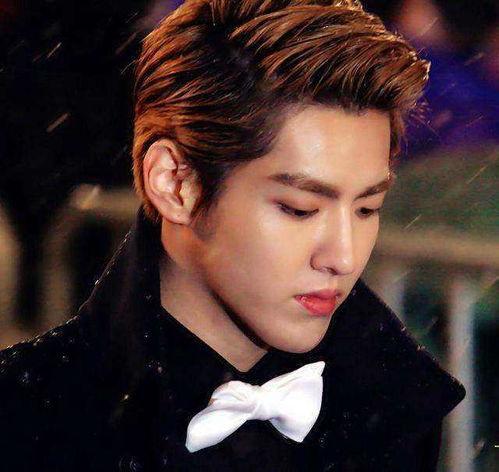 男明星大珰,揭秘男明星的璀璨星途与魅力人生