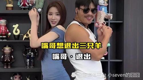 嘎纳夫妻爆料事件视频播放,真相与争议交织