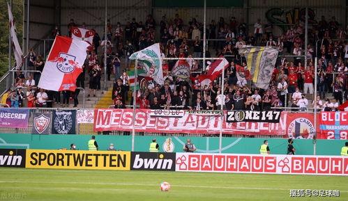 拜仁红牛独家爆料视频大全,拜仁红牛爆料视频大全精彩瞬间