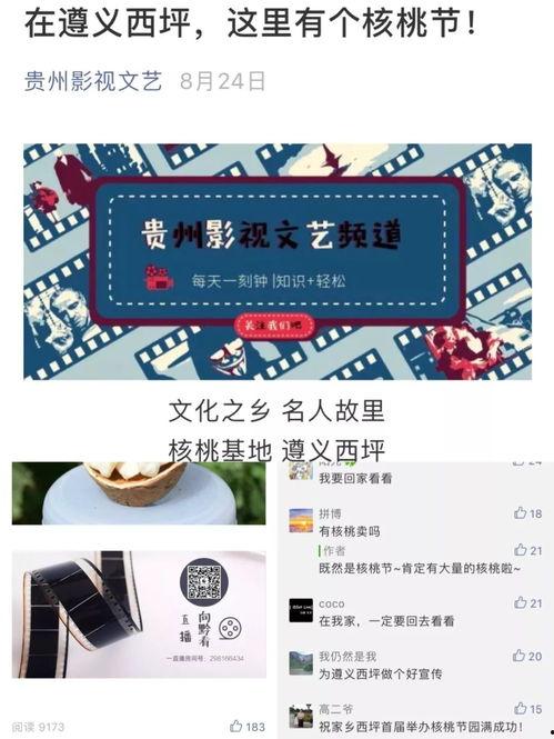 贵州3台直播在线观看