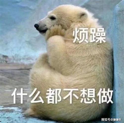 全球最丑吃瓜群众图片,揭秘网络红人的另类魅力