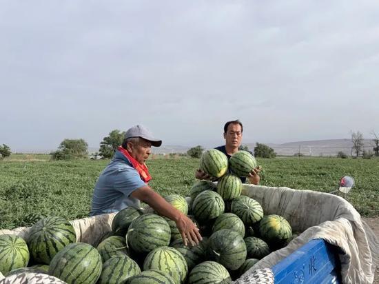 朝阳吃瓜中心在哪,探寻京城美食新地标