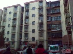 网红小区全景图片高清,繁华都市中的静谧家园