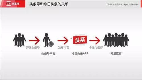 头条新媒体学习,掌握趋势，提升影响力