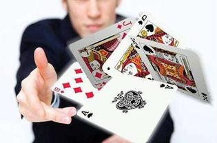 纸牌塔娱乐播报台吃瓜,揭秘明星幕后吃瓜大事件