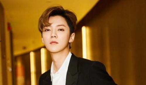 娱乐圈吃瓜合集博君一肖,娱乐圈的甜蜜瓜田，甜蜜与争议并存